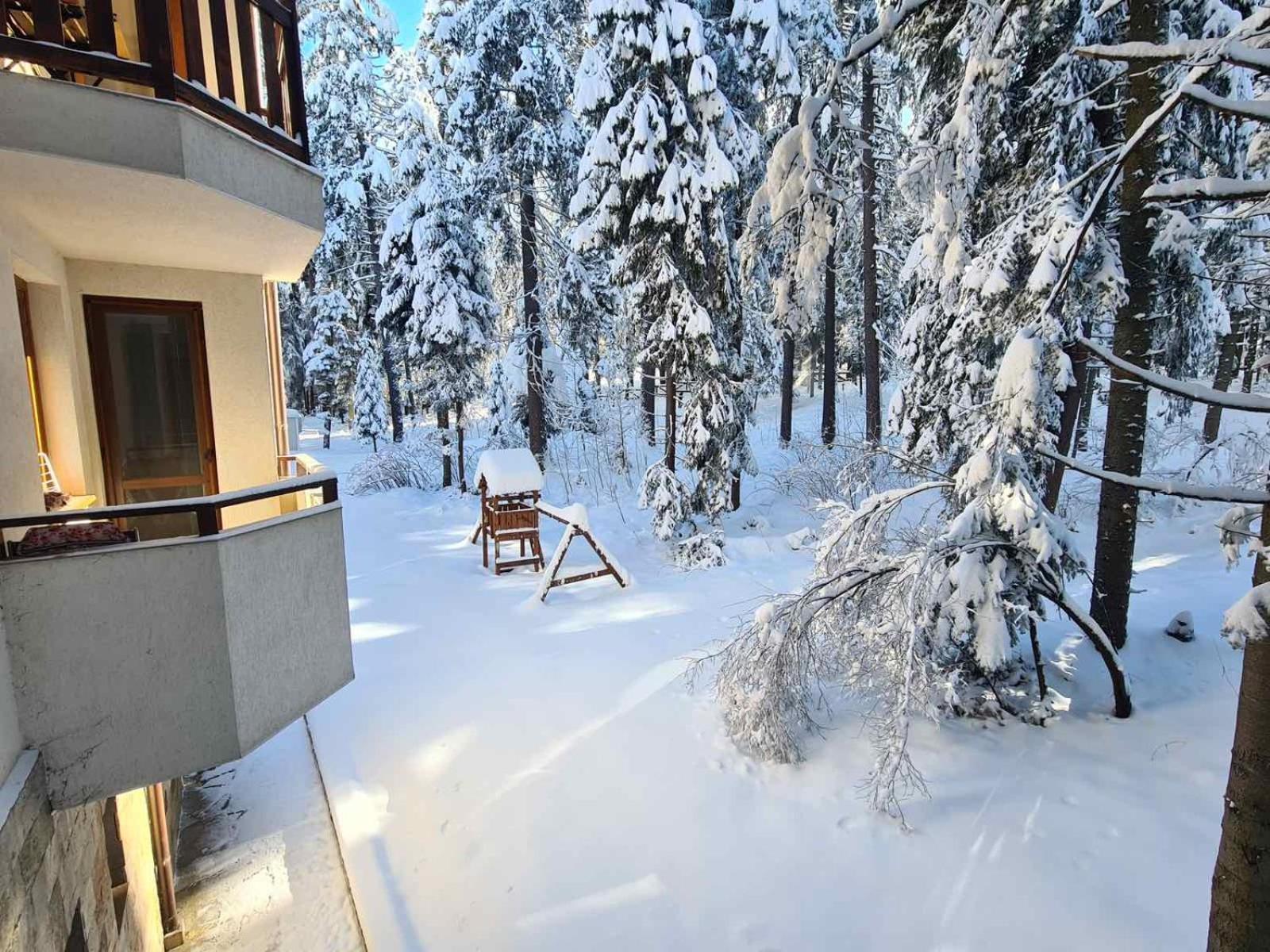 Forest Apartment/ Villa Park Borovec Exteriér fotografie
